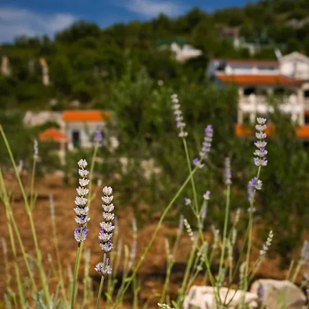 Villa Huerte